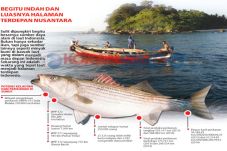Masa Depan Indonesia...