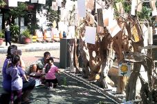 Tema Gajah Dominasi...