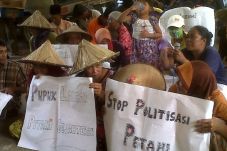 Sulit Dapatkan Pupuk...