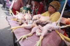 Harga Ayam Naik, Daging...