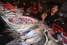 Harga Ikan Diperkirakan...