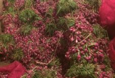 Harga Bawang Merah Turun...