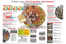 Problem Lapas, Over...
