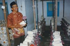 BTPN Bantu Pensiunan...
