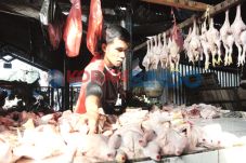 Harga Daging Ayam Terus...