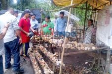 Pedagang Duku Beralih...