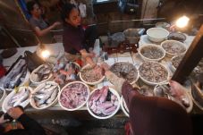 Cuaca Buruk, Harga Ikan...
