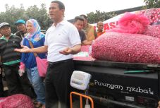 Harga Bawang Merah Turun...