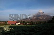 Sinabung Mengancam,...