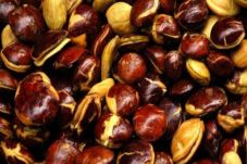 Harga Jengkol Makin...