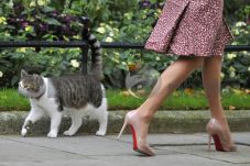 Sepatu High Heels Terus...