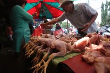 Harga Daging Ayam di...