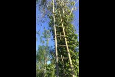 Menjual Tangga