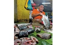 Giliran Harga Ikan Bergerak...