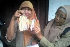 Ikan Berformalin Beredar...