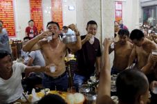 Festival Makan Anjing...