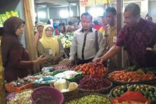 Dewan Minta Pemerintah...