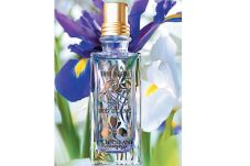 Wewangian Bunga Iris
