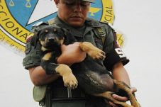 Spanyol Tahan Gembong...