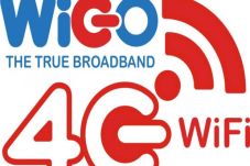Pasang WIGO Gratis User...