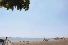 Digerus Abrasi, Pengunjung...