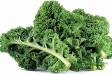 Kale,Primadona Sayuran...