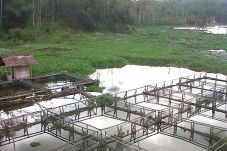 Diusulkan, Tasikmalaya...
