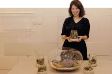 Terarium yang Menawan