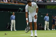 Aksi Djokovic Diganggu...