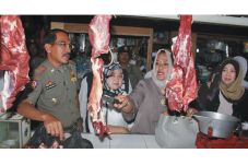 Batu Bebas Daging Celeng