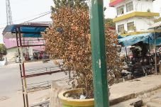 Taman Kota Mulai Layu...