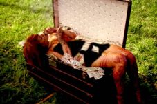 Video Klip Terbaru Rihanna...