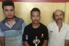 3 Pembakar Taman Nasional...