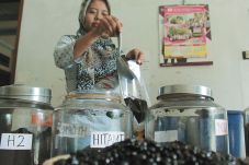 Kopi Khas Muria Mulai...