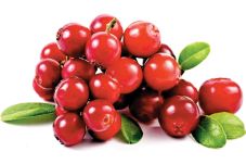 Manfaat Buah Cranberry...