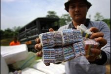 Jual Petasan, Petugas...