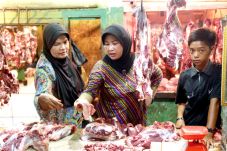 Bulog Siap OP Daging...
