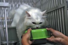Dari Kelas Biasa hingga...