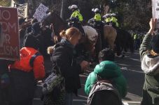 Demo Anti-Islam di Australia...