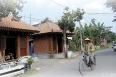 Majapahit Kembali Bangkit