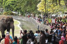Menikmati Liburan di...
