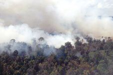 Lahan Gambut Muba Terbakar