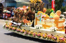 Tomohon Gelar Festival...