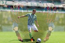 Van der Vaart Hidupkan...