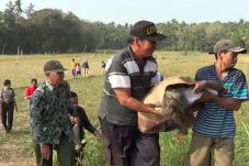 Terperosok ke Sawah,...