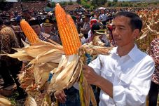 Selamatkan Petani dan...