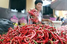Harga Cabai Merah Berangsur...