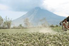 Tiga Kecamatan Terpapar...