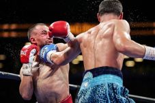Malignaggi Umumkan Pensiun...