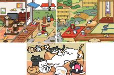 Pelihara Kucing di Pekarangan
